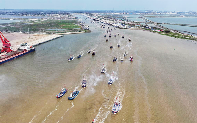 河北豐南：渤海開海 百船齊發秋捕忙